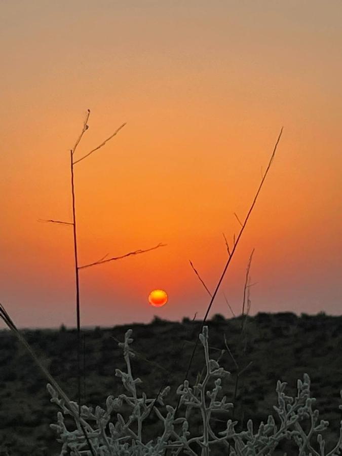 Kings Villa Jaisalmer Eksteriør bilde