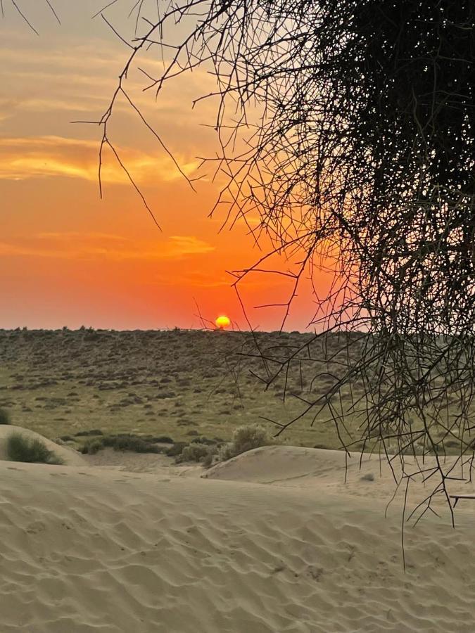 Kings Villa Jaisalmer Eksteriør bilde